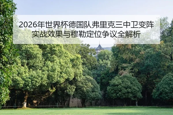 nian-shi-jie-bei-de-guo-dui-fu-li-ke-san-zhong-wei-bian-zhen-shi-zhan-xiao-guo-yu-mu-lei-ding-wei-zheng-yi-quan-jie-xi-2-585.jpg